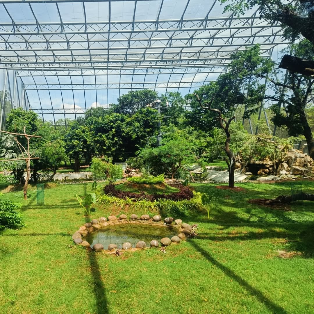 Guindy National Park: One of the few national parks located within a city, Guindy is a green haven with diverse flora and fauna. It’s a great option for a short nature trail without leaving Chennai’s limits. Guindy National Park: One of the few national parks located within a city, Guindy is a green haven with diverse flora and fauna. It’s a great option for a short nature trail without leaving Chennai’s limits.