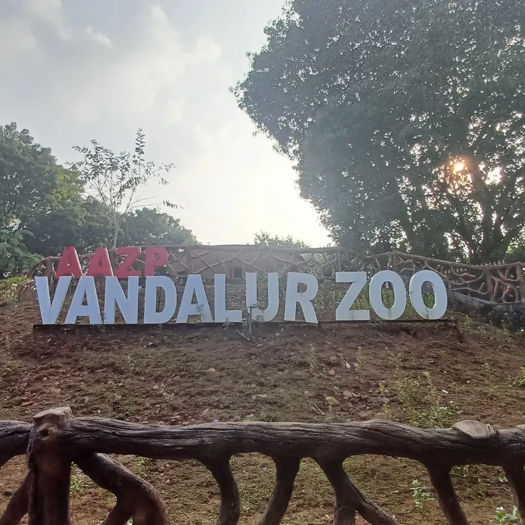 Arignar Anna Zoological Park: Located in Vandalur, this sprawling zoo is one of Asia’s largest, housing diverse species in naturalistic enclosures. It’s ideal for families and wildlife enthusiasts who want to spend a day amidst nature while learning about conservation. Arignar Anna Zoological Park: Located in Vandalur, this sprawling zoo is one of Asia’s largest, housing diverse species in naturalistic enclosures. It’s ideal for families and wildlife enthusiasts who want to spend a day amidst nature while learning about conservation.
