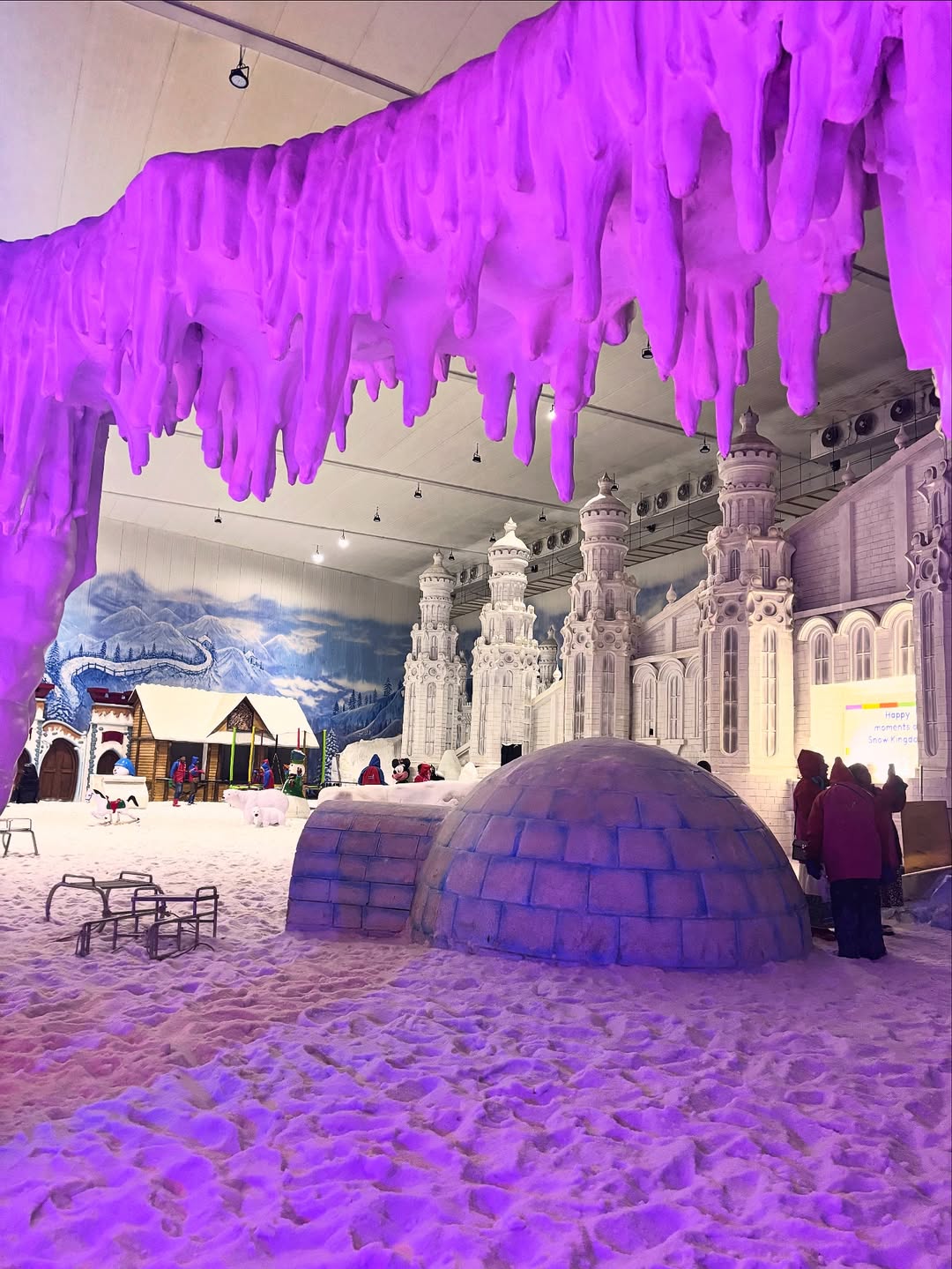 Snow Kingdom: For something quirky, head to Injambakkam’s Snow Kingdom. This indoor attraction lets you experience snow play, sledding, and even climbing in sub-zero temperatures, a fun contrast to Chennai’s tropical climate. Snow Kingdom: For something quirky, head to Injambakkam’s Snow Kingdom. This indoor attraction lets you experience snow play, sledding, and even climbing in sub-zero temperatures, a fun contrast to Chennai’s tropical climate.